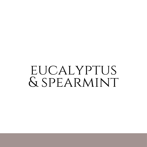 Eucalyptus & Spearmint inspired by BBW (Unisex)