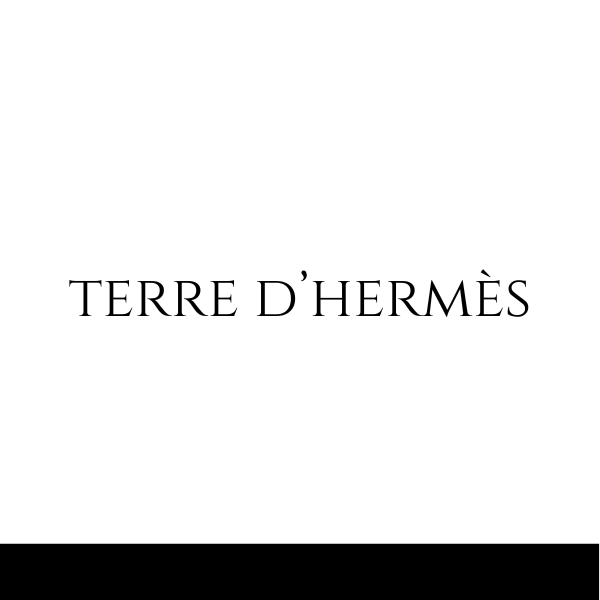 Terre D'hermès inspired by Hermès (Men)