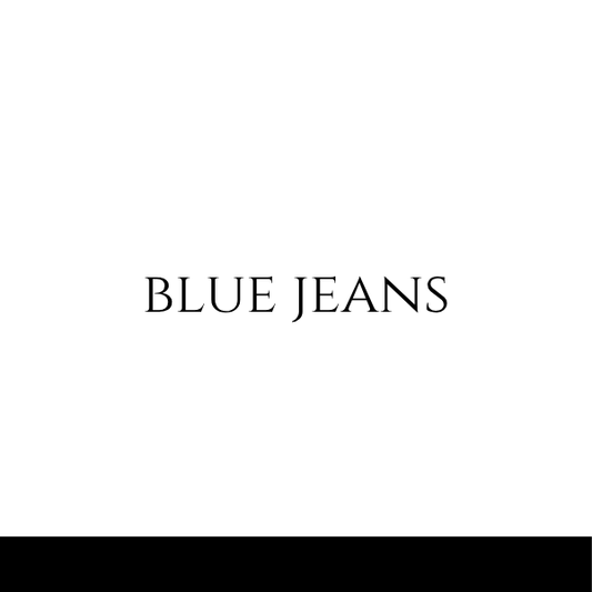 Blue Jeans inspired by Versace (Men)